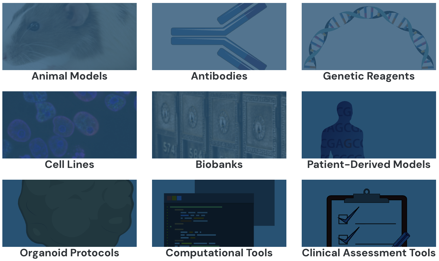 tool-categories.png